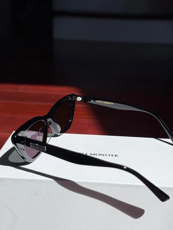 Gentle Monster Black Terra Cotta Sunglasses - Picture 5 of 10